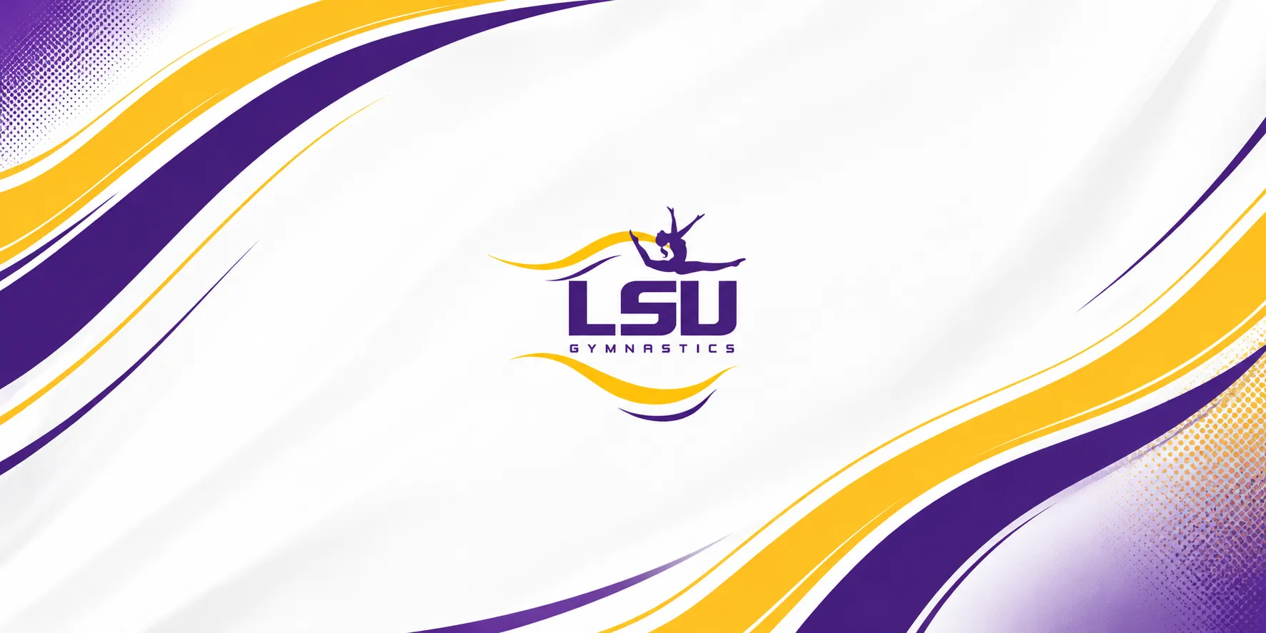 NILSU Gymnastics banner