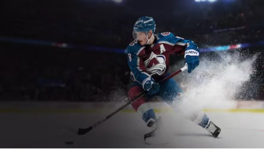 NHL (National Hockey League) banner