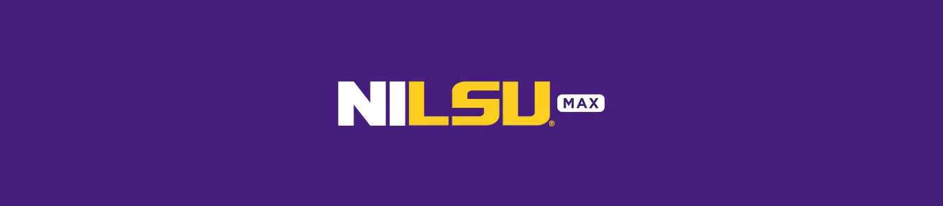 NILSU MAX banner