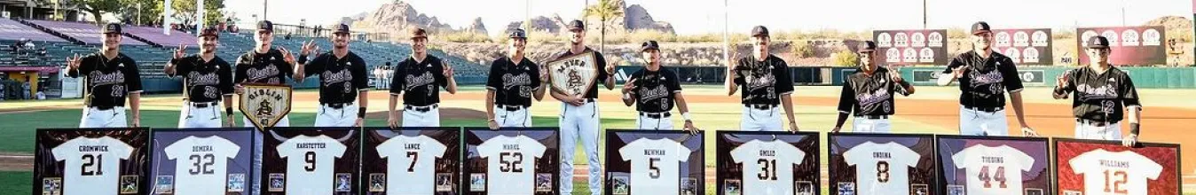 Arizona state Causes banner