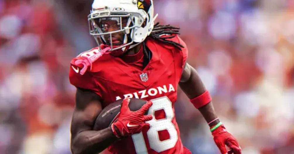 Arizona Cardinals banner