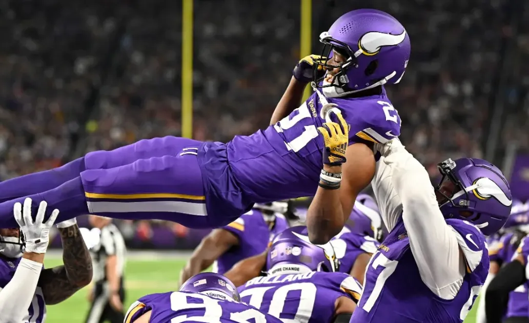 Minnesota Vikings banner