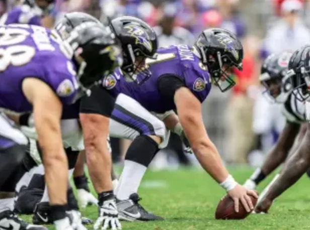 Baltimore Ravens banner