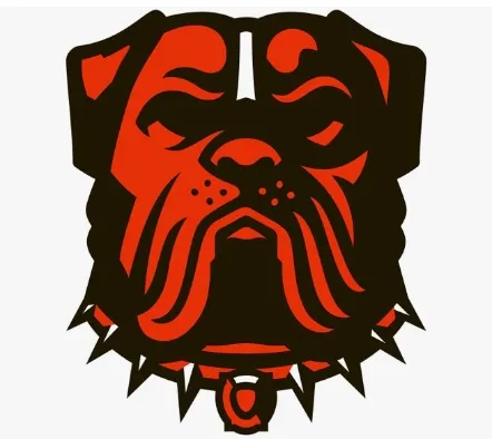 Browns banner