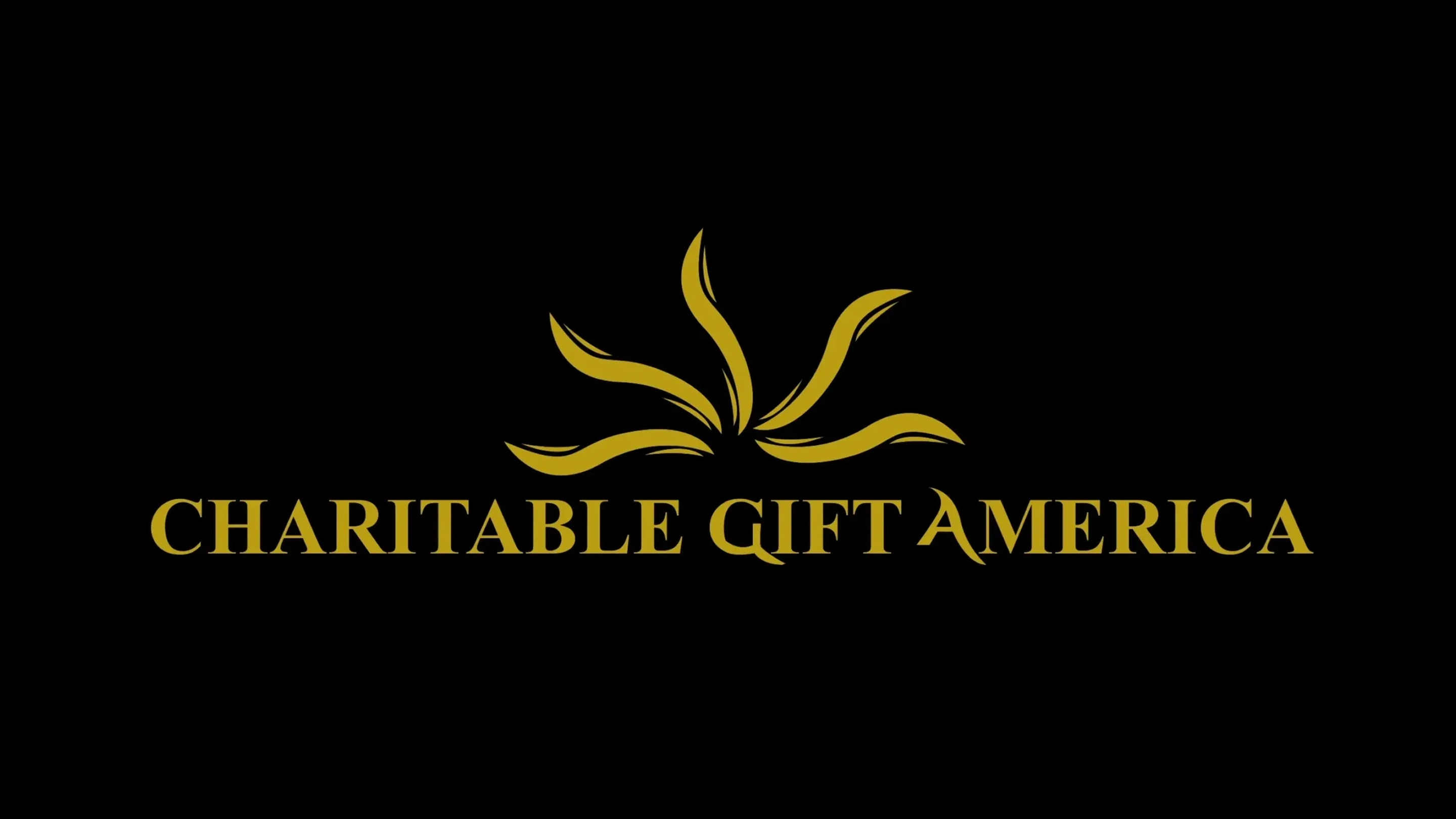Charitable Gift America
