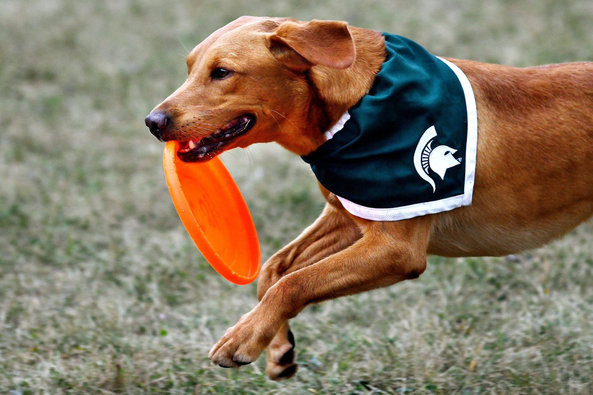 Article banner image